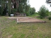 Vienkiemis mieste. - nuotraukos Nr. 3