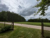 Parduodama ramioje gražioje vietoje Gailaičių - nuotraukos Nr. 14