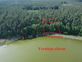 50 arų sklypas šimtamečiame pušyne su Vernijo - nuotraukos Nr. 2