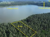 50 arų sklypas šimtamečiame pušyne su Vernijo - nuotraukos Nr. 4