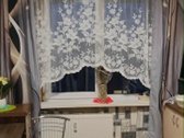 Parduodamas dviejų kambarių butas, namas - nuotraukos Nr. 6