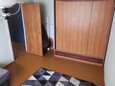 Parduodamas dviejų kambarių butas, namas