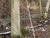 Parduodamas išskirtinis 2,32 ha sklypas su - nuotraukos Nr. 10