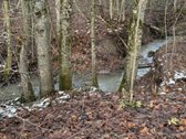 Parduodamas išskirtinis 2,32 ha sklypas su - nuotraukos Nr. 11