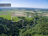 Parduodamas 1336 a. žemės ūkio paskirties - nuotraukos Nr. 2