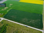 Parduodamas 6.5 ha Sklypas Šalia - nuotraukos Nr. 6