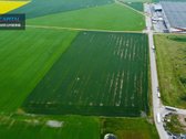 Parduodamas 6.5 ha Sklypas Šalia - nuotraukos Nr. 7