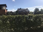 Privačių namų kvartale šalia Lampiedžių ežero - nuotraukos Nr. 9