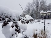 Parduodama ypatingai gražioje vietoje sodyba - nuotraukos Nr. 37