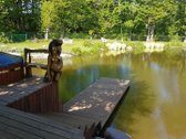Parduodama ypatingai gražioje vietoje sodyba - nuotraukos Nr. 39