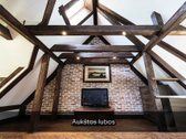 Išskirtinis Kotedžas Prie Jūros – - nuotraukos Nr. 4