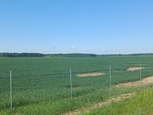 Šalia automagistralės Vilnius - Klaipėda - nuotraukos Nr. 2