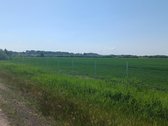 Šalia automagistralės Vilnius - Klaipėda - nuotraukos Nr. 3