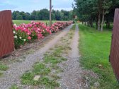 Parduodama ypatingai gražioje vietoje sodyba - nuotraukos Nr. 46