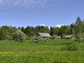 Parduodama Sodyba – Vienkiemis Gamtos Apsuptyje - nuotraukos Nr. 2
