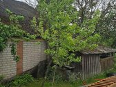 Parduodamas dviejų aukštų sodo namas miesto - nuotraukos Nr. 23