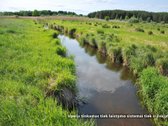Visiškai šalia Riešės gyvenvietės parduodami - nuotraukos Nr. 11