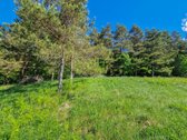 Parduodamas 1,5 Ha Sklypas Čepurniškėse Su - nuotraukos Nr. 3