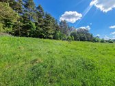 Parduodamas 1,5 Ha Sklypas Čepurniškėse Su - nuotraukos Nr. 4