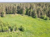 Parduodamas 1,5 Ha Sklypas Čepurniškėse Su - nuotraukos Nr. 6