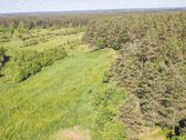 Parduodamas 50 Arų Sklypas Čepurniškėse Su - nuotraukos Nr. 8