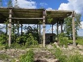 Puikus sklypas su sandėliavimui ar gamybai - nuotraukos Nr. 4