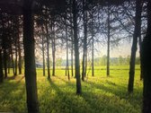 Nuostabioje vietoje, Širvintų rajone, Juodkų - nuotraukos Nr. 26