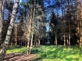 Nuostabioje vietoje, Širvintų rajone, Juodkų - nuotraukos Nr. 27