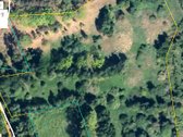 Parduodamas 2,33 Ha Žemės Ūkio Paskirties - nuotraukos Nr. 4