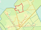 Parduodamas 2,33 Ha Žemės Ūkio Paskirties - nuotraukos Nr. 5