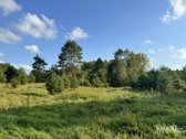 Parduodamas 0,8747 Ha Namų Valdos Sklypas - nuotraukos Nr. 9