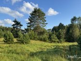 Parduodamas 0,8747 Ha Namų Valdos Sklypas - nuotraukos Nr. 10
