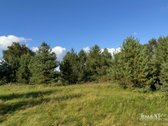 Parduodamas 0,8747 Ha Namų Valdos Sklypas - nuotraukos Nr. 11