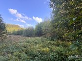 Parduodamas 0,8747 Ha Namų Valdos Sklypas - nuotraukos Nr. 12