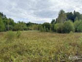 Parduodamas 0,8747 Ha Namų Valdos Sklypas - nuotraukos Nr. 13