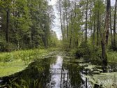 Parduodamas 0,8747 Ha Namų Valdos Sklypas - nuotraukos Nr. 14