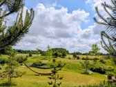 Parduodama unikali, išpuoselėta 64 arų sodyba - nuotraukos Nr. 5