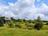 Parduodama unikali, išpuoselėta 64 arų sodyba - nuotraukos Nr. 8