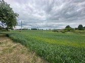 Parduodama vienkiemio sodyba gražioje gamtos - nuotraukos Nr. 13