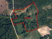 Parduodamas 2,33 Ha Žemės Ūkio Paskirties - nuotraukos Nr. 3