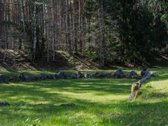 Parduodama Išskirtinė Sodyba Prie Šventosios - nuotraukos Nr. 7