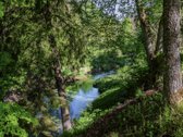 Parduodama Išskirtinė Sodyba Prie Šventosios - nuotraukos Nr. 5