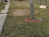 Parduodamas gyvenamasis namas vaizdingoje - nuotraukos Nr. 6