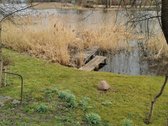 Parduodamas gyvenamasis namas vaizdingoje - nuotraukos Nr. 7