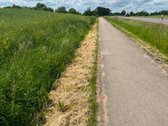 Parduodamas 12,23 arų sklypas Alytaus rajone.  - nuotraukos Nr. 4
