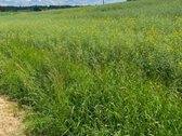Parduodamas 12,23 arų sklypas Alytaus rajone.  - nuotraukos Nr. 5