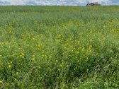 Parduodamas 12,23 arų sklypas Alytaus rajone.  - nuotraukos Nr. 2
