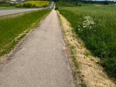Parduodamas 12,23 arų sklypas Alytaus rajone. 