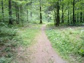 Įvažiavimas į mišką iš Bajorų g.  - nuotraukos Nr. 3