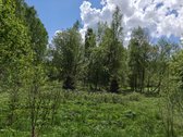 Parduodamas 1,7063 ha sklypas Vilniaus rajone - nuotraukos Nr. 13